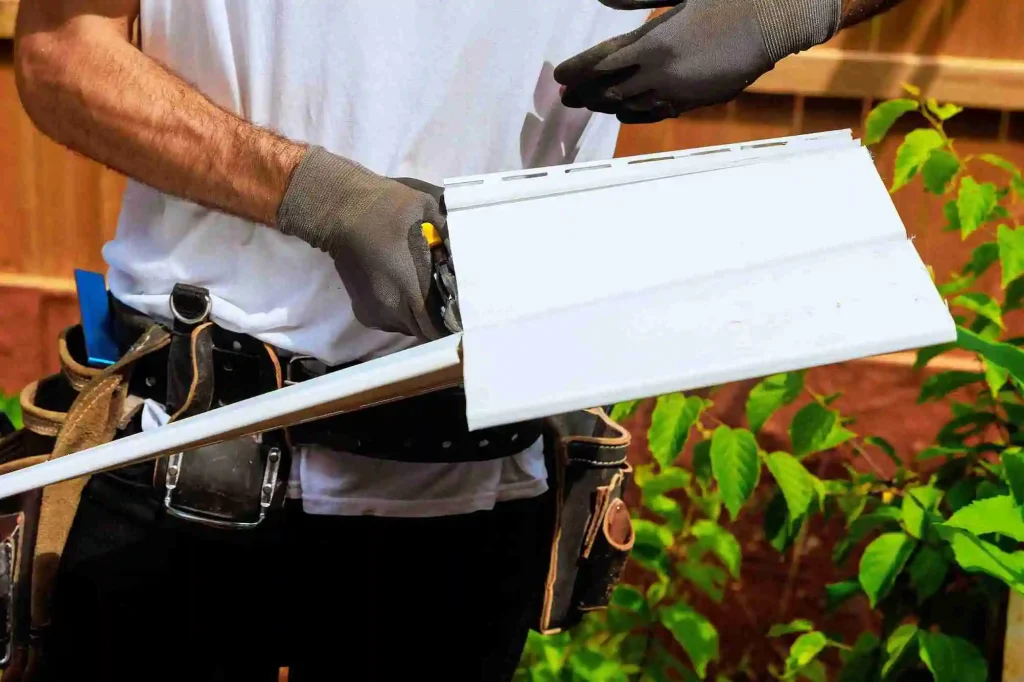 Rain Gutter Cleaning Service 2 rain gutter cleaning